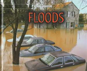 Floods de Michele Ingber Drohan