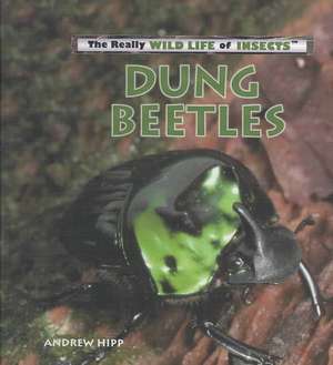 Dung Beetles de Andrew Hipp