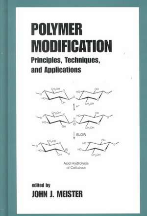 Polymer Modification: Principles, Techniques, and Applications de John Meister