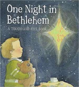 One Night in Bethlehem de Jill Roman Lord