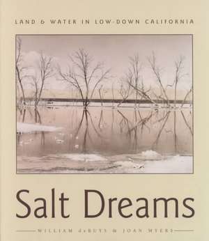 Salt Dreams: Land and Water in Low-Down California de William deBuys