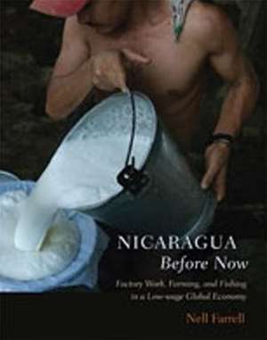 Nicaragua Before Now: Factory Work, Farming, and Fishing in a Low-Wage Global Economy de Nell Farrell