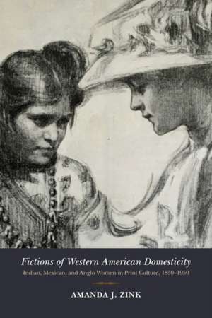 FICTIONS OF WESTERN AMER DOMES de Amanda J. Zink