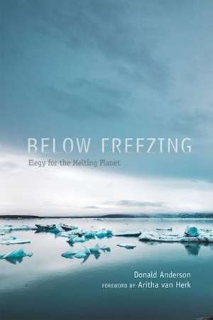 Below Freezing de Donald Anderson