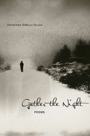 Gather the Night de Katherine Dibella Seluja