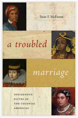 Troubled Marriage de Sean F McEnroe