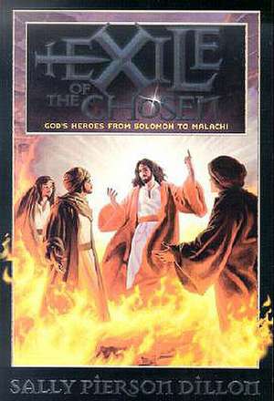 Exile of the Chosen: God's Heroes from Solomon to Malachi de Sally Pierson Dillon