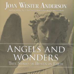 Angels and Wonders: True Stories of Heaven on Earth de Joan Wester Anderson