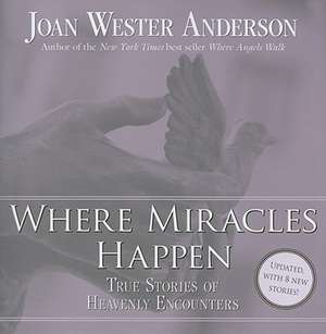 Where Miracles Happen: True Stories of Heavenly Encounters de Joan Wester Anderson