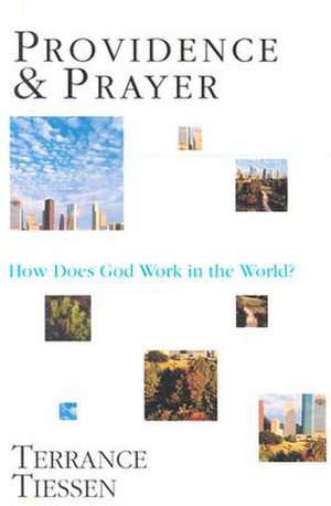 Providence & Prayer – How Does God Work in the World? de Terrance L. Tiessen