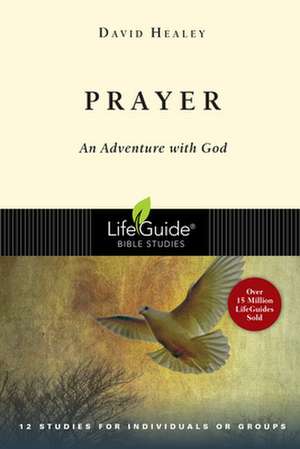 Prayer: An Adventure with God de David Healey