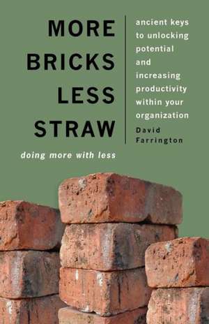 More Bricks Less Straw: Doing More with Less - Ancient Keys to Unlocking Potential and Increasing Productivity Within Your Organization de David Farrington