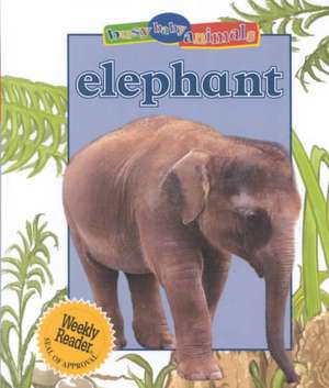 Elephant de JINNY JOHNSON