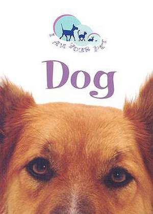 Dog de Matthew Rayner