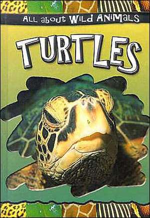 Turtles de Gareth Stevens Publishing