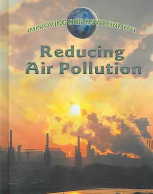 Reducing Air Pollution de Jen Green