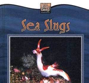 Sea Slugs de Valerie J. Weber