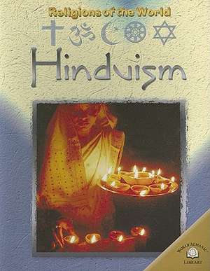 Hinduism de Rasamandala Das