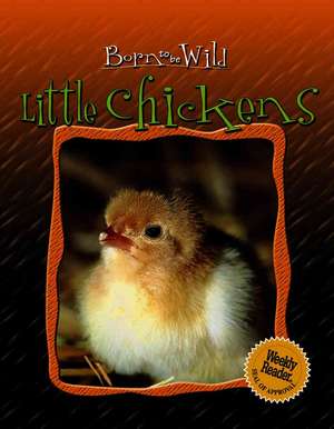 Little Chickens de Colette Barbe-Julien