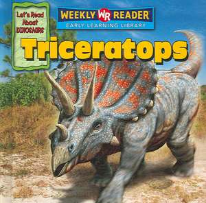 Triceratops de Joanne Mattern