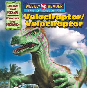 Velociraptor de Joanne Mattern