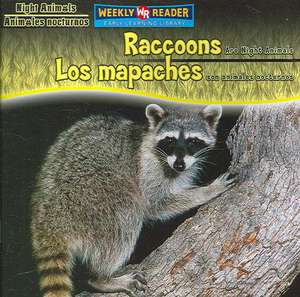 Raccoons Are Night Animals/Los Mapaches Son Animales Nocturnos de Joanne Mattern