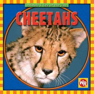 Cheetahs de Kathleen Pohl