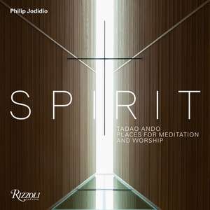 Tadao Ando: Spirit de Philip Jodidio