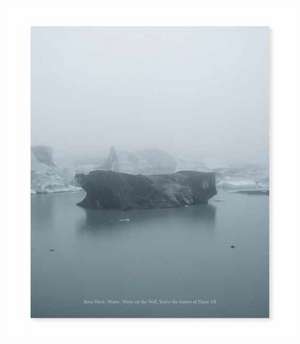 Roni Horn de Nora Burnett Abrams