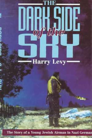 Dark Side of the Sky de Harry Levy