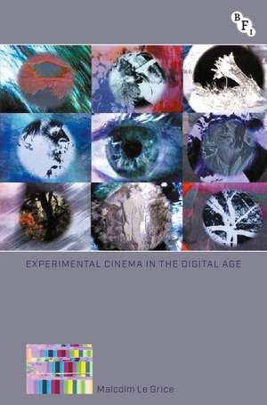 Experimental Cinema in the Digital Age de Malcolm Le Grice