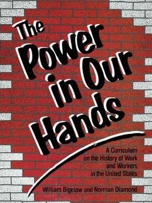 Power in Our Hands de Norman Diamond