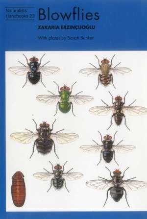 Blowflies de Zakaria Erzinclioglu