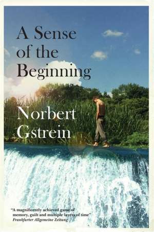 A Sense of the Beginning de Norbert Gstrein