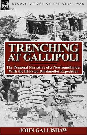 Trenching at Gallipoli de John Gallishaw