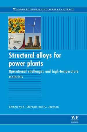 Structural Alloys for Power Plants: Operational Challenges and High-Temperature Materials de A. Shirzadi