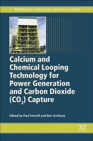 Calcium and Chemical Looping Technology for Power Generation and Carbon Dioxide (CO2) Capture de Paul Fennell