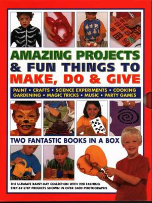 Amazing Projects & Fun Things to Make, Do & Give de Sally Walton