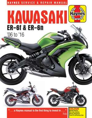 Kawasaki ER–6f & ER–6n (06 – 16) de Phil Mather