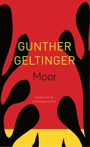 Moor de Gunther Geltinger