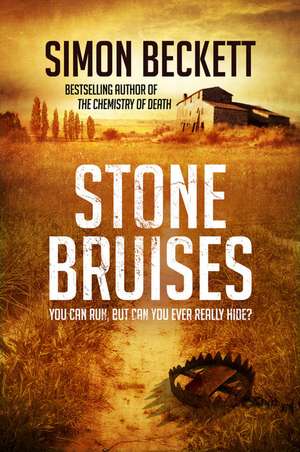 Stone Bruises de Simon Beckett