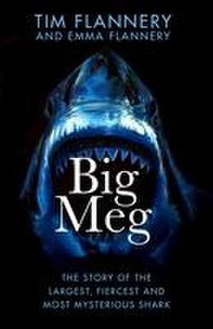 Flannery, E: Big Meg