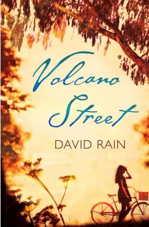 Volcano Street de David Rain