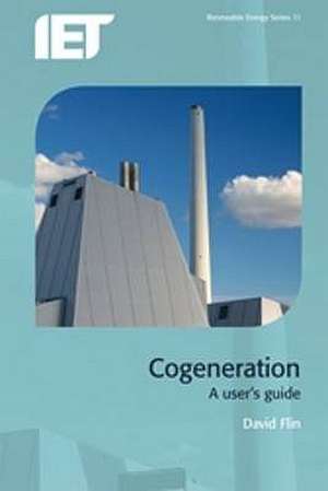 Cogeneration de David Flin