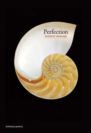 Perfection de Patrick Warner