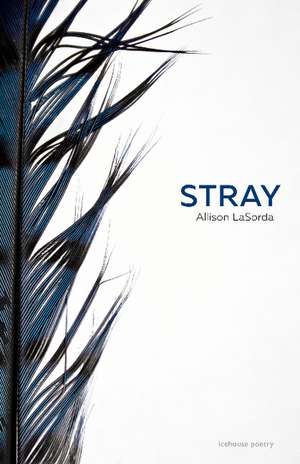 Stray de Allison LaSorda