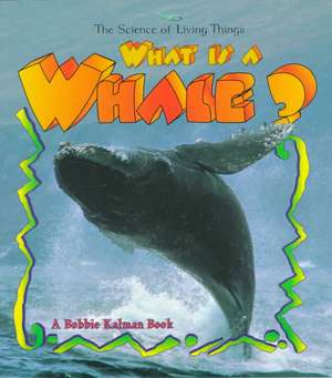 What Is a Whale? de Bobbie Kalman