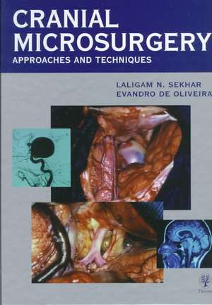 Cranial Microsurgery: Approaches and Techniques de Laligam Sekhar