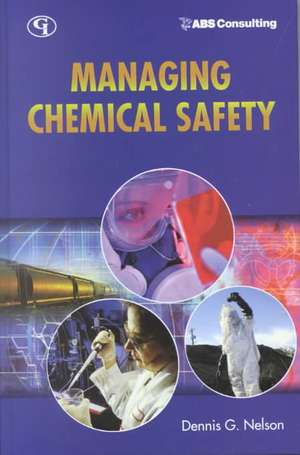 Managing Chemical Safety de Dennis G. Nelson