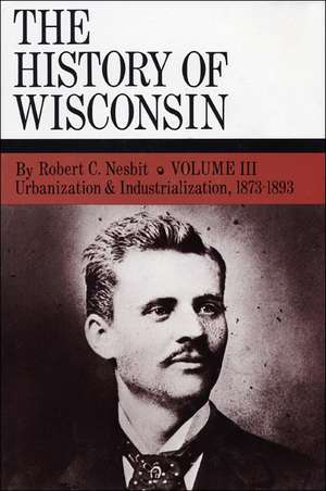 The History of Wisconsin, Volume III: Urbanization & Industrialization 1873-1893 de Robert C. Nesbit